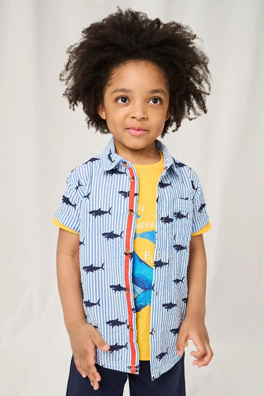 Boys Shirt Hatley Seersucker Shark