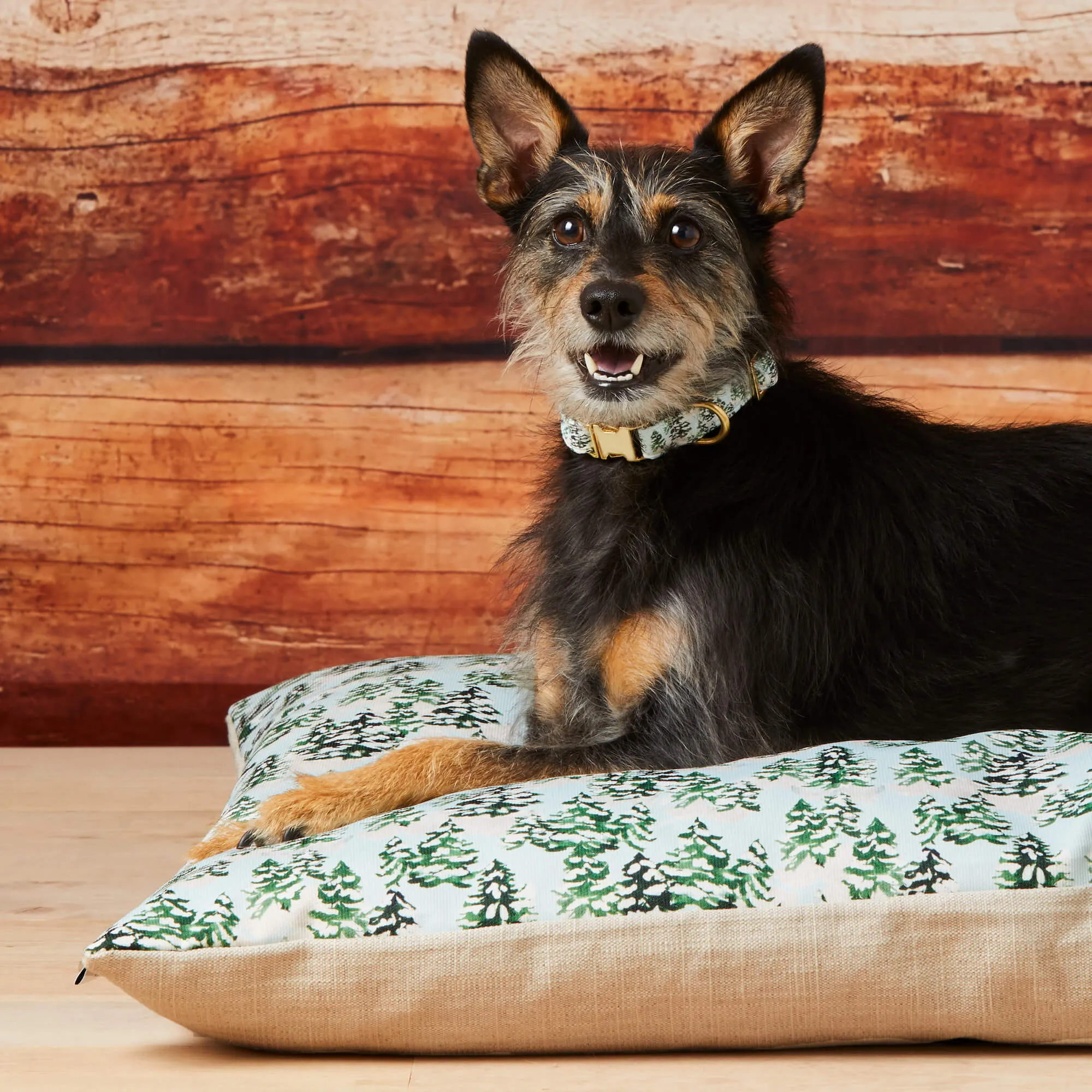 Gray Malin x TFD Snowy Pines Dog Bed