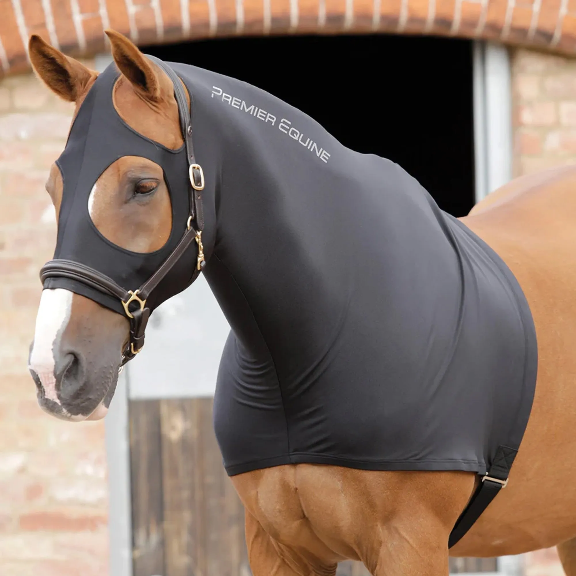 Premier Equine Stretch Lycra Hood