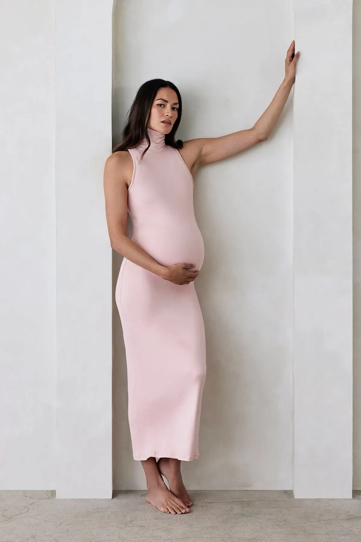 The Serena Maternity Dress